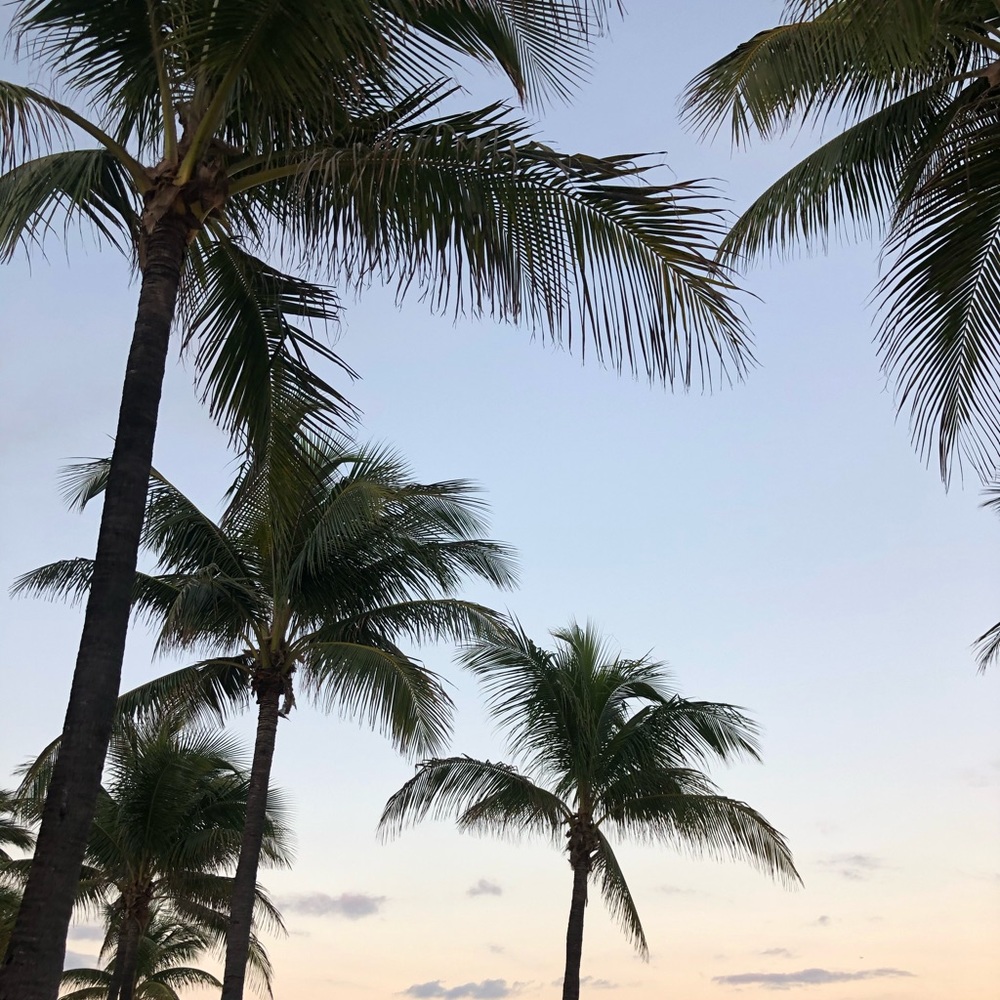 Meet your Posher, Lea